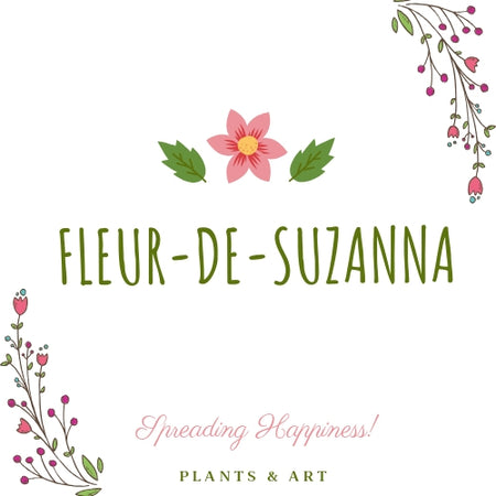 Fleur-de-suzanna